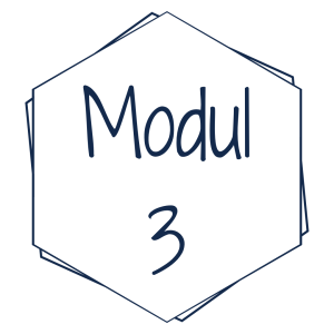 Modul 3 – Healthy Leadership Tools